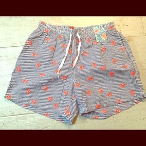 Chubbies Anchors Away swim shorts size Large